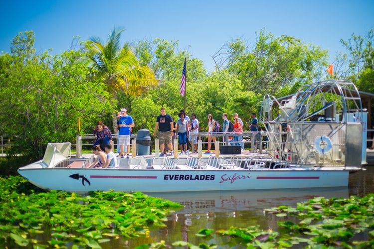 An airboat tour in the Everglades