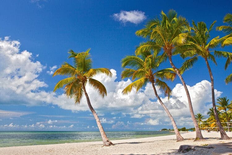 Gulf Coast villas in Florida, palm-lined beach