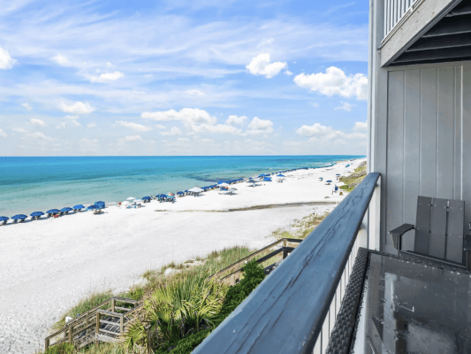 Seagrove 8