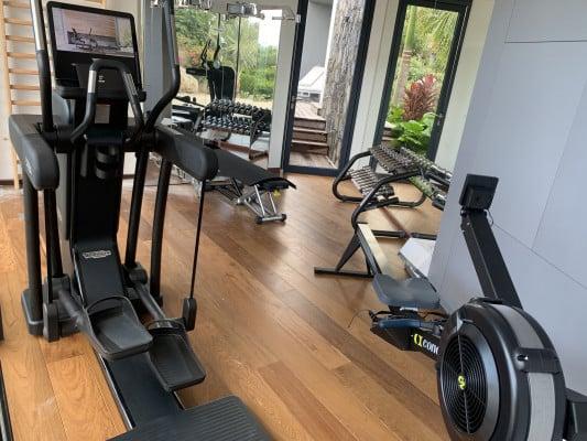 Villa Golden Palm St Jean villas with home gyms