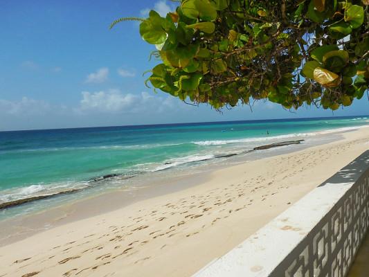 Arcadia villas near Carlisle Bay for Barbados Open Water Swim Festival