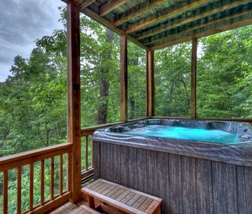 Georgia vacation rentals - Blue Ridge 15