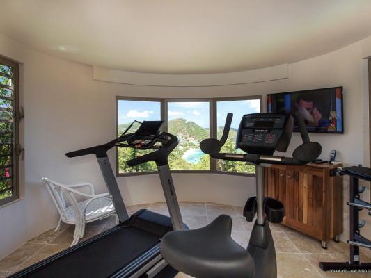 Villa Yellowbird Pointe Milou villas with gyms