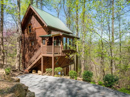 Wears Valley 80 cabin rental near Dollywood