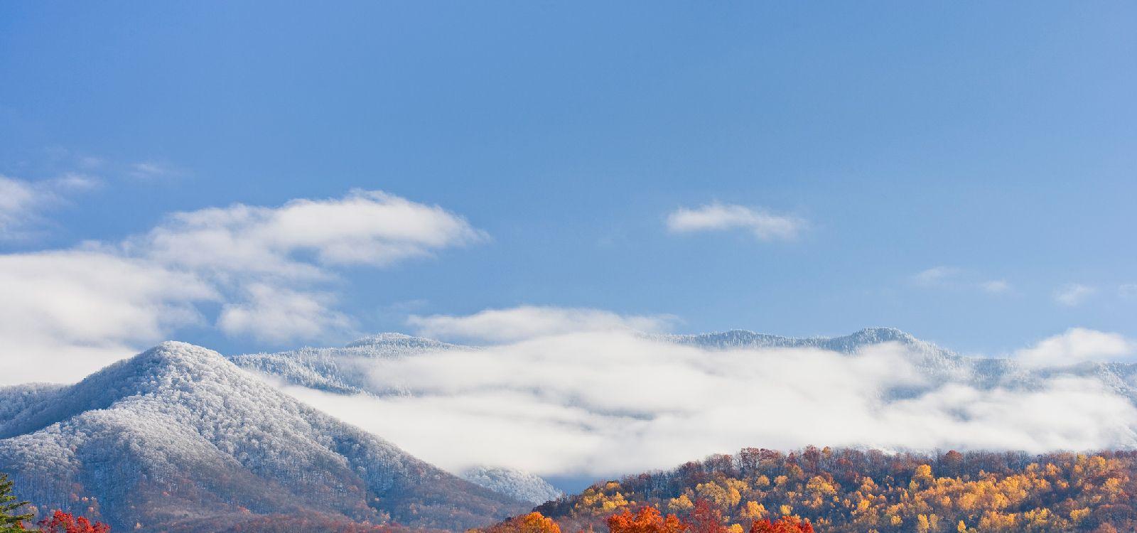 4 bedroom cabins in Tennessee