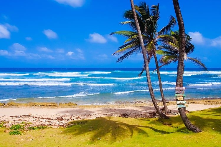 Bathsheba Beach barbados.jpg