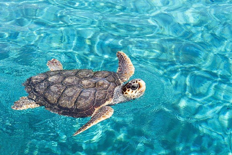 Belize in June
