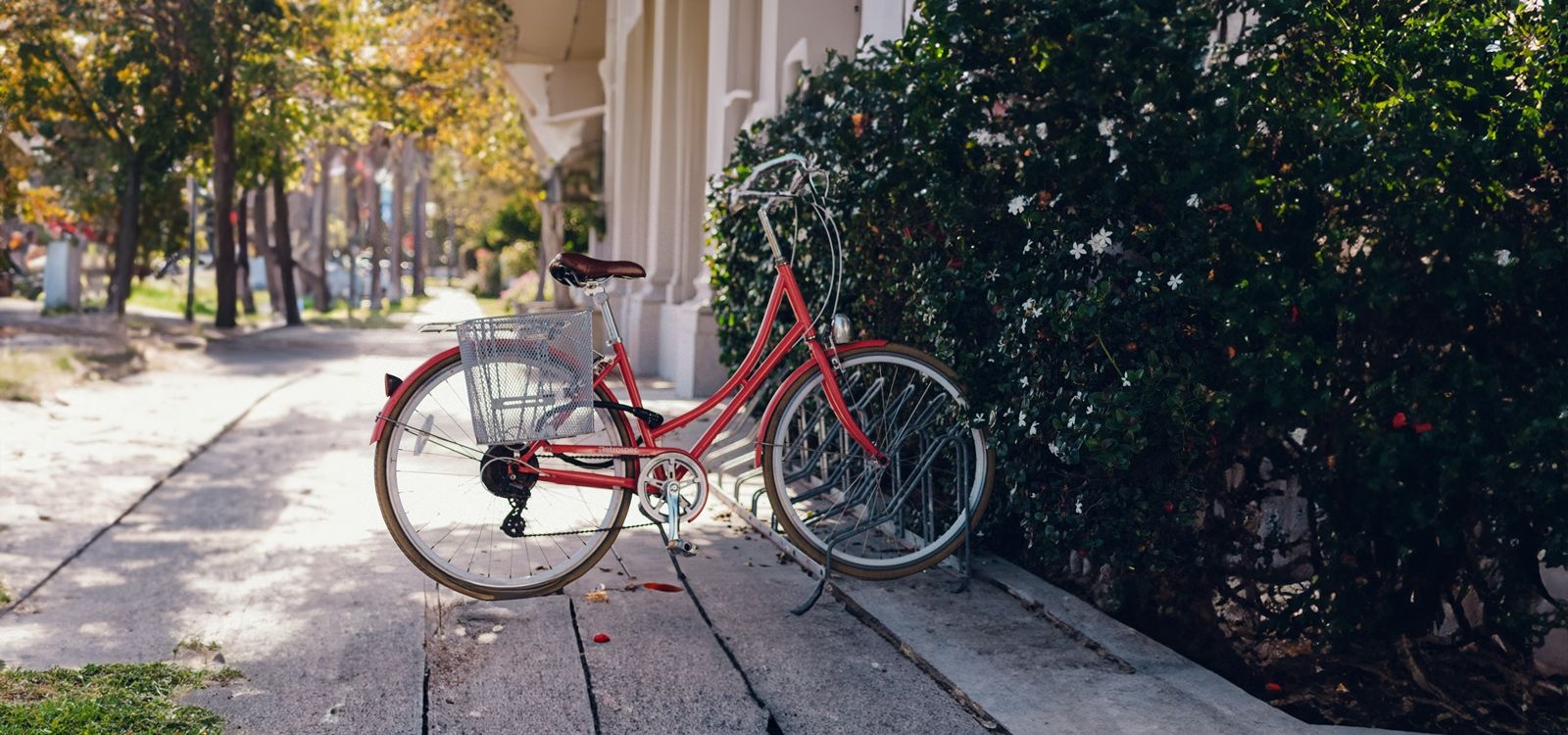 Bike rental Top Villas concierge