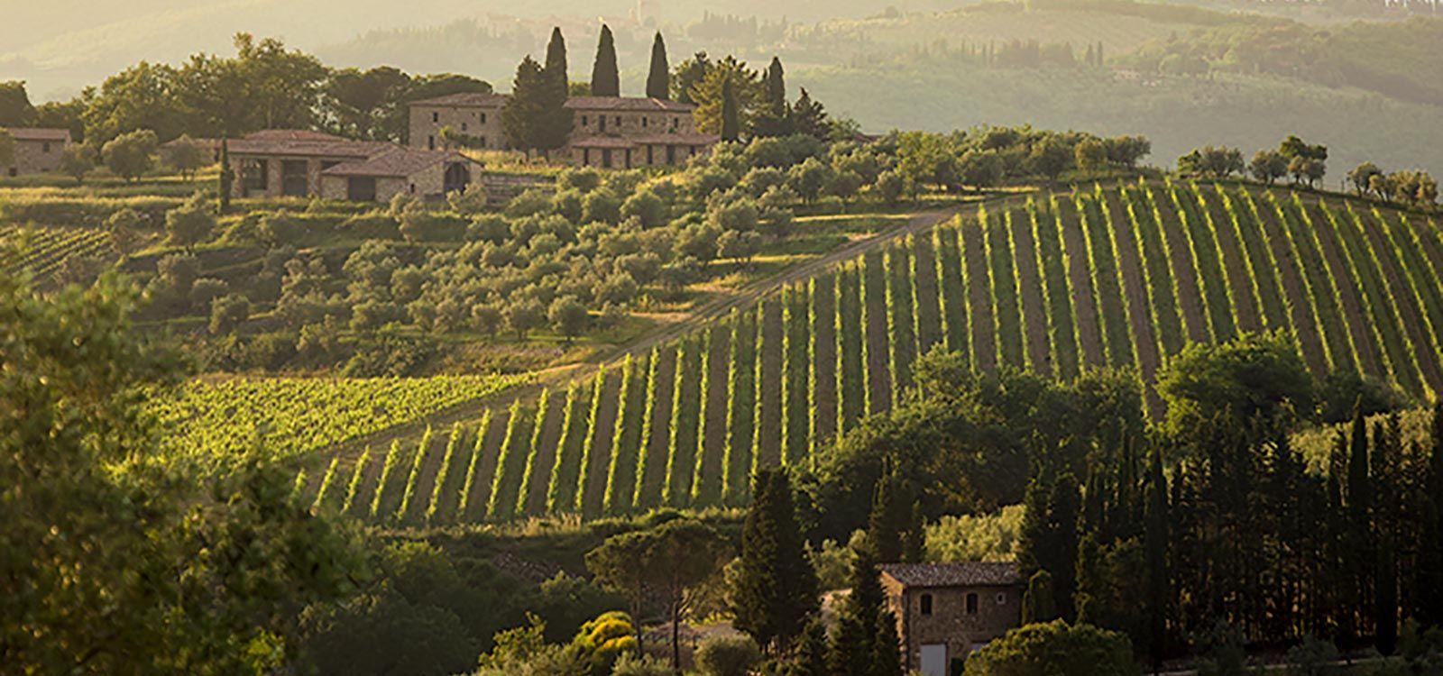 Chianti-beautiful