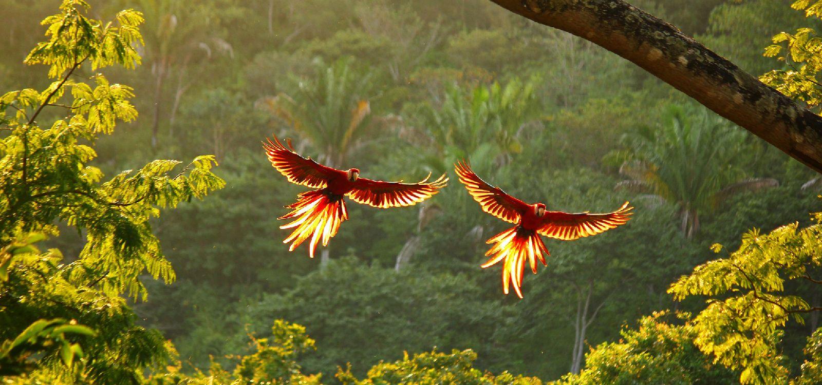 Costa Rica 8 bedroom villa