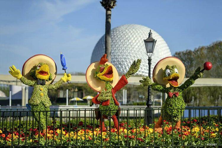 Epcot International Flower Garden Festival