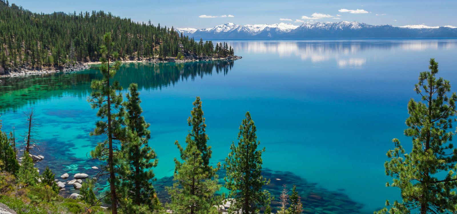 Lake Tahoe Pet friendly