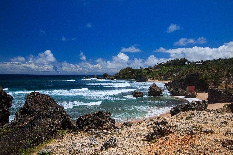 Maycocks-Bay-barbados.jpg