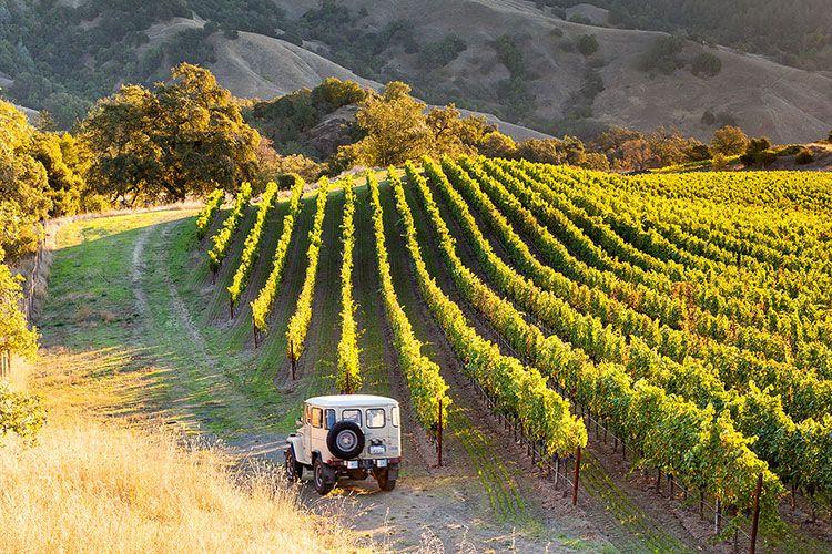 Piedmont by transport