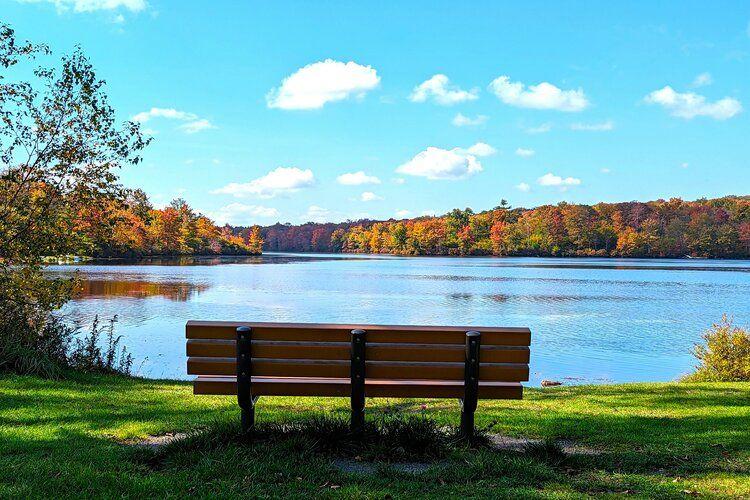 Lake views from an Albrightsville state park
