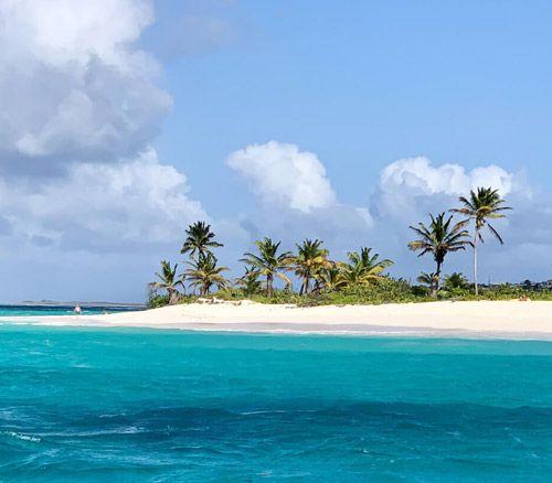 White sand beach with palm trees in the Caribbean