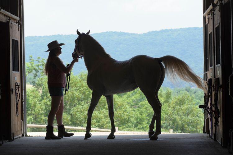 Silhouette of a woman in a cowboy hat and a horse standing in a barn doorway
