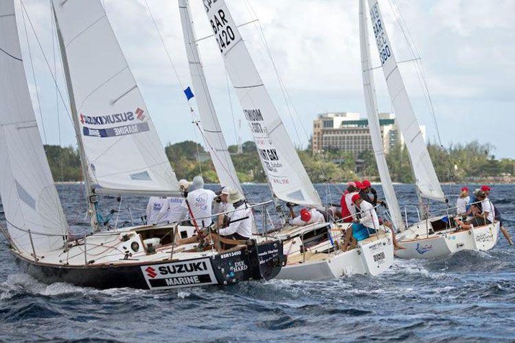 barbados sailing week