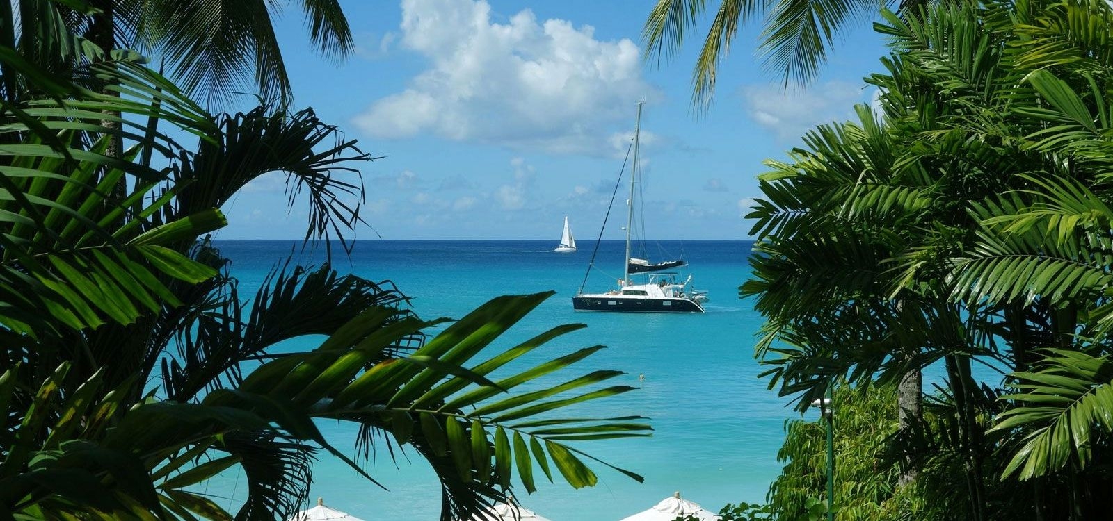 barbados sailing week event