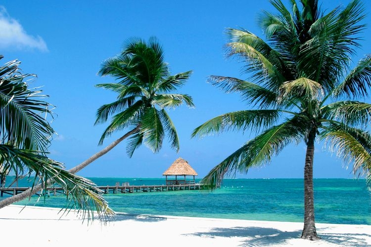 Best time to visit Belize, beach, palm trees, Top Villas