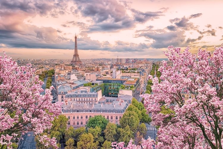 Best time to visit Paris, cherry blossoms, early spring, Top Villas
