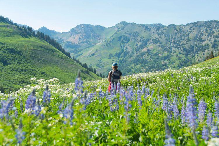 Late summer hiking, best time to visit Utah, Top Villas