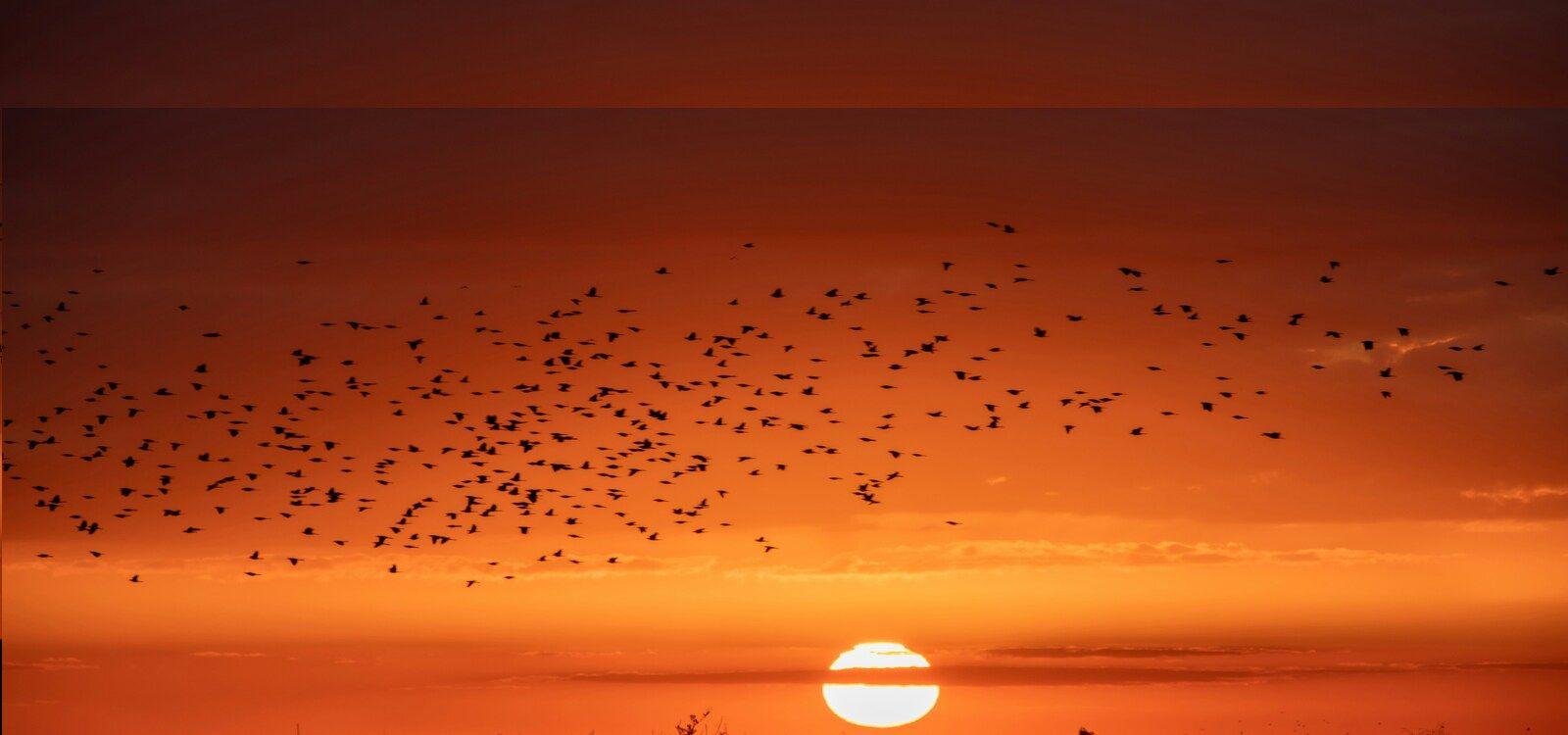 Boynton Beach villas, sunset Florida, Top Villas