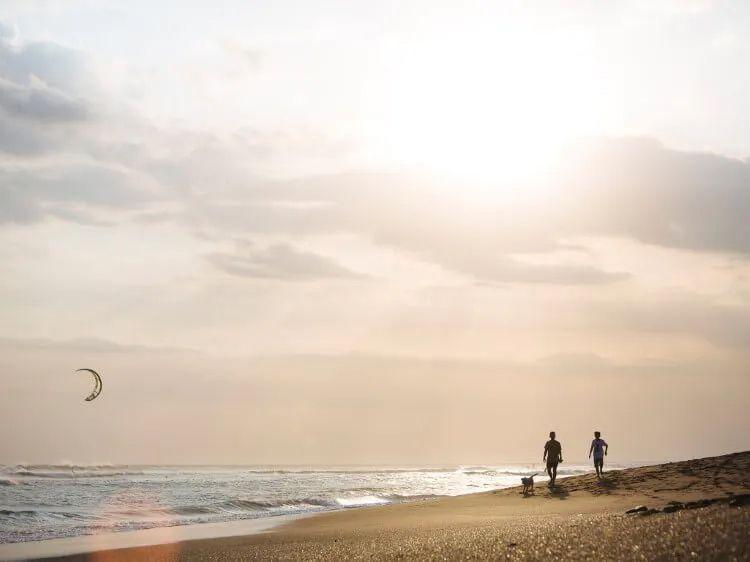 Teo people walking a dog along a beach with a parasurfer in the water