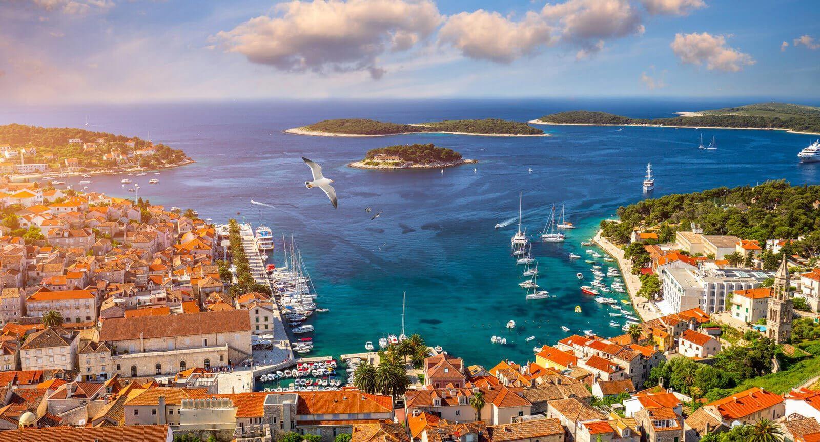 The red roofs of a Croatian seafront city with a seagull flying overhead