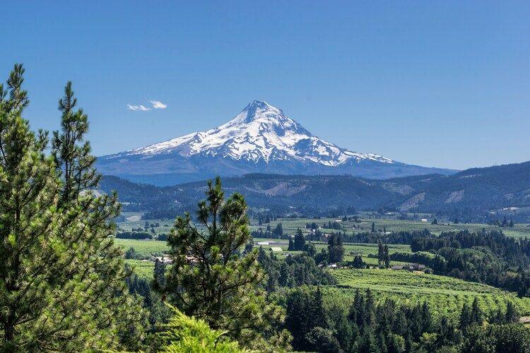 View of Mount Hood in Oregon