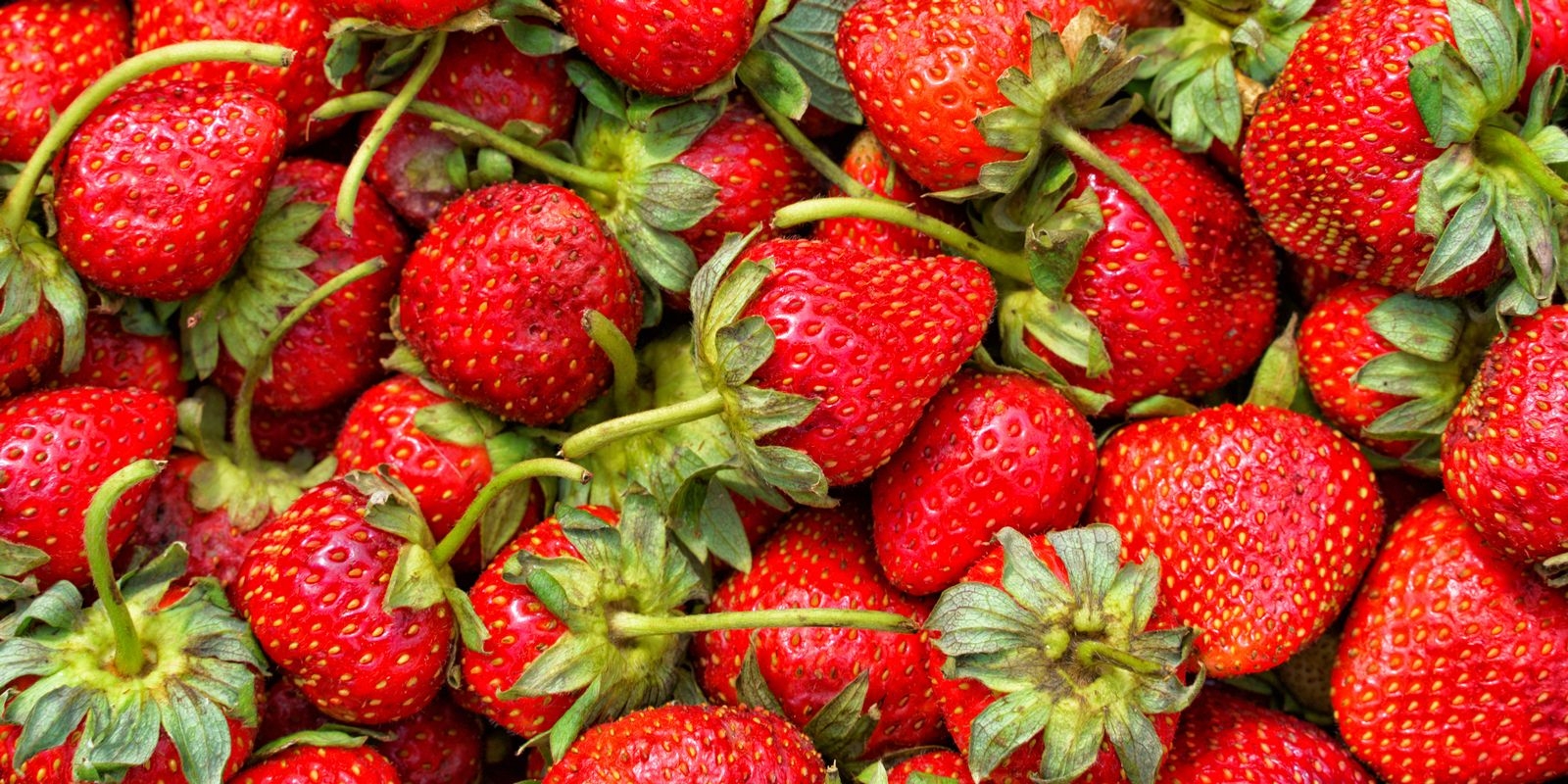 Close up of strawberries