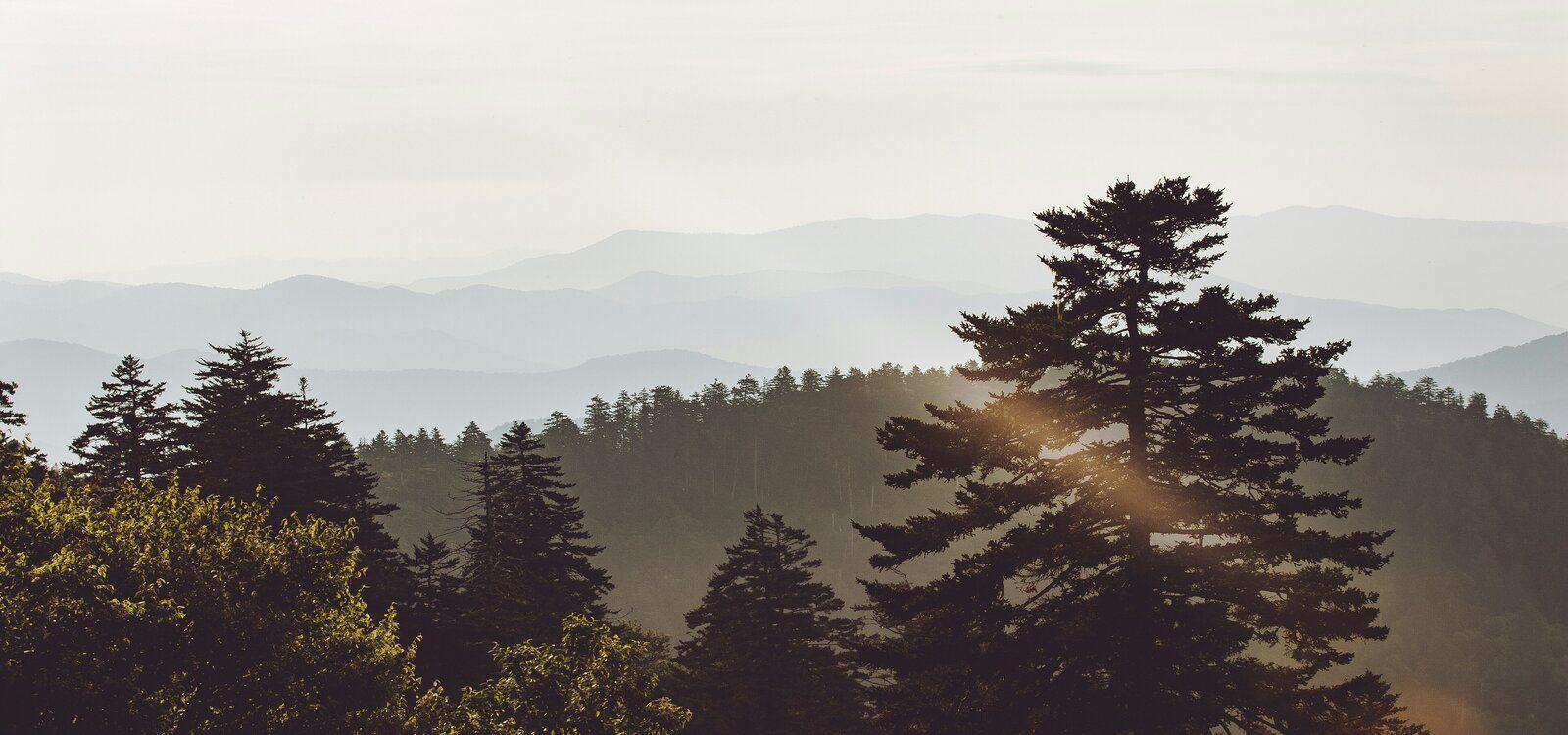 Great outdoors, Gatlinburg cabins 2 bedroom rentals, Top Villas