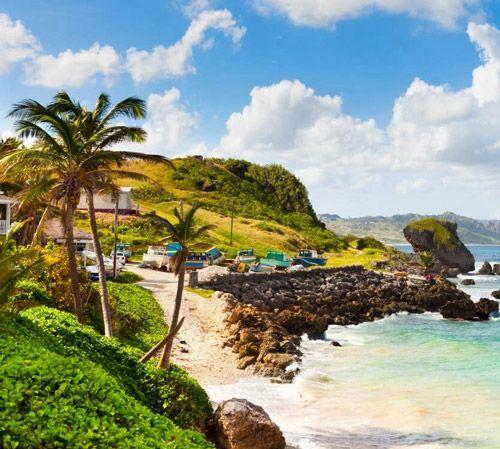 Glitter Bay beach with palm trees and sea rocks