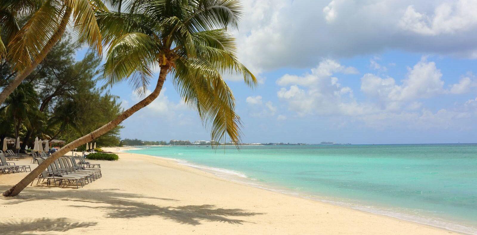 Happy Bay white sand beach and palm trees
