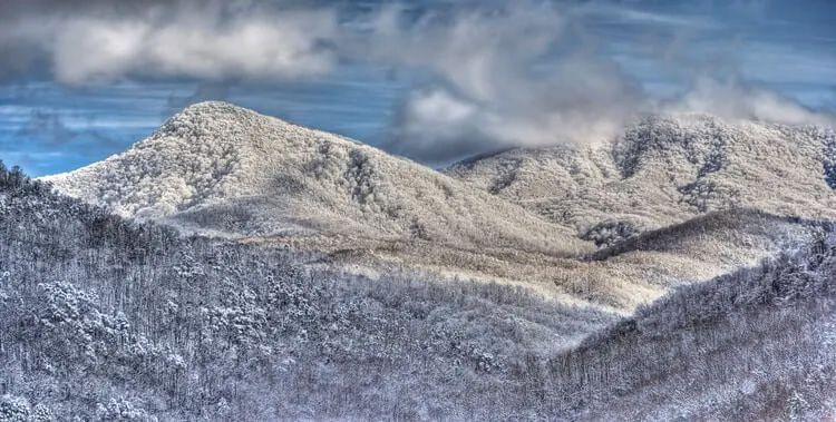 Snow capped forested mountains