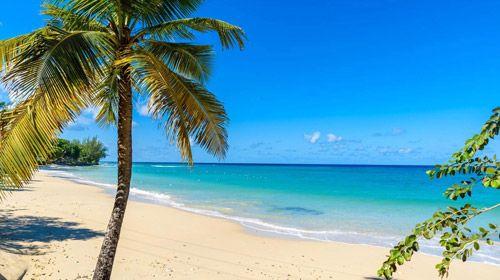 Mullins Bay white sand beach with palm trees