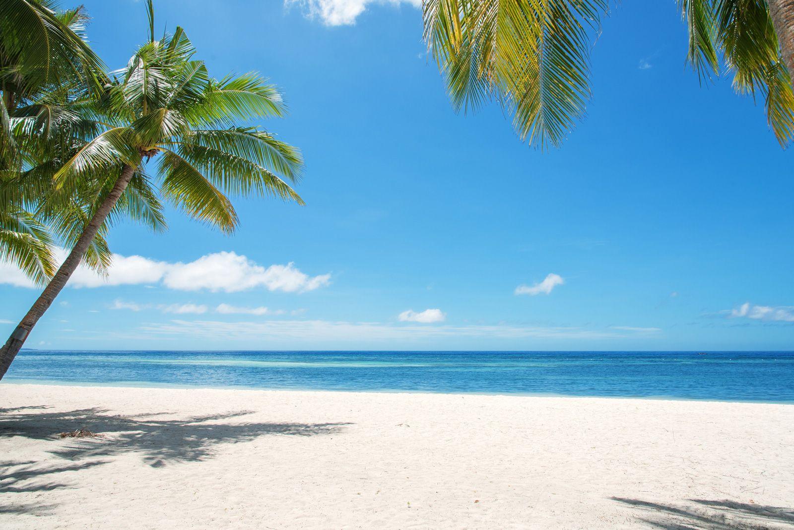 View of a white sand beach with palm trees