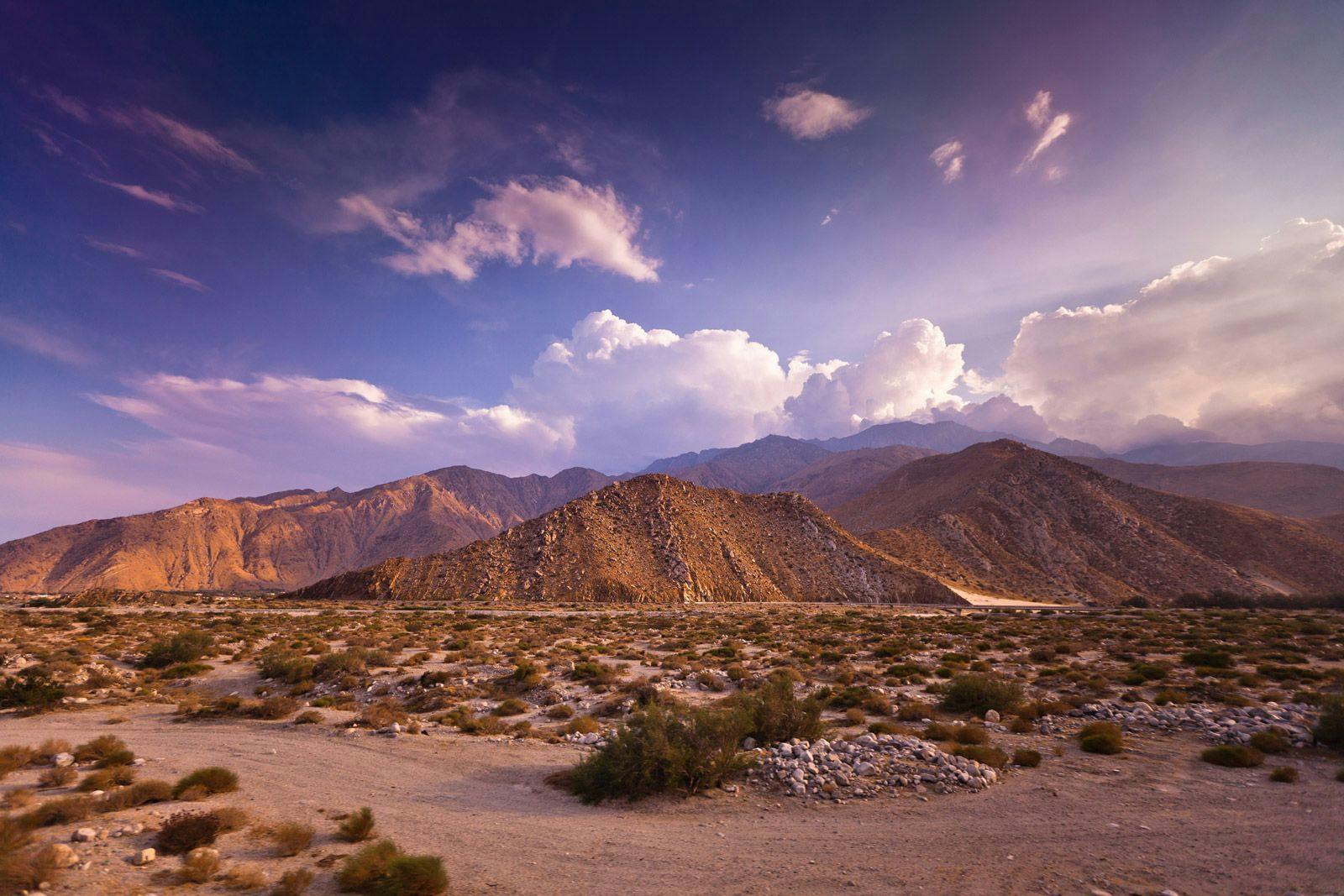 Palm Desert landscape
