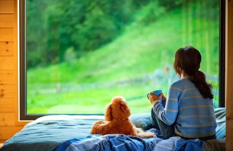 A woman and a small fluffy dog sitting on a bed looking out a cabin rental