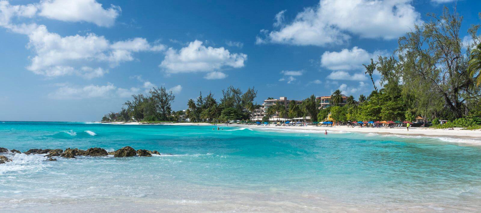 Palm-fringed white sand beach in Barbados