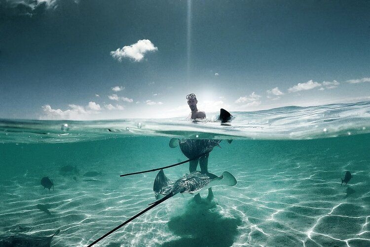 Unique weekend getaways in Florida, snorkeling with stingrays