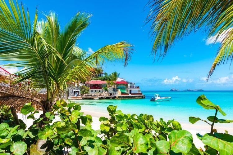 A view through palm trees of a white sand beach in St Barts