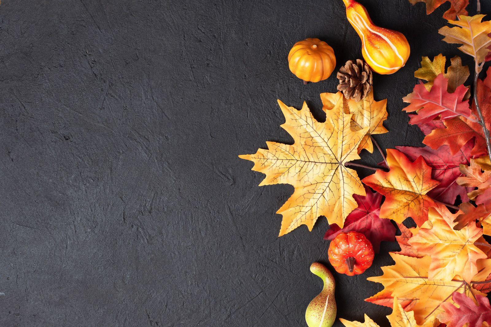 Fall foliage and pumpkins on a dark grey background