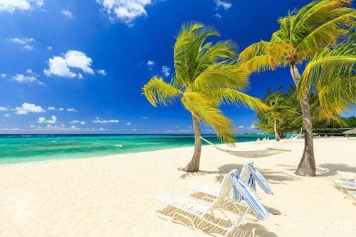 A white sand beach in the Cayman Islands