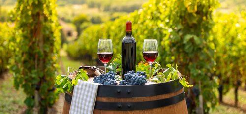 Two wine glasses and a bottle of red wine and grapes on a barrel in front of some vines