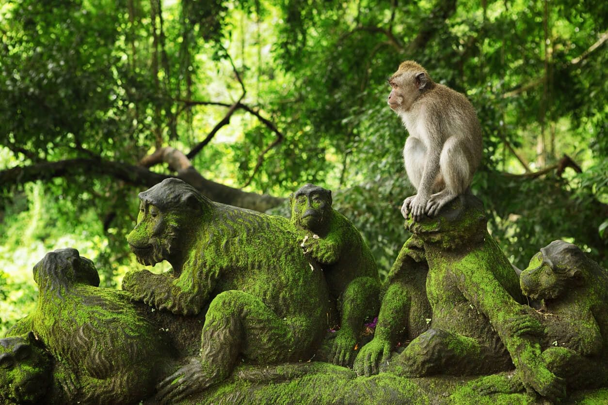 A monkey chills out in Monkey Island, Bali