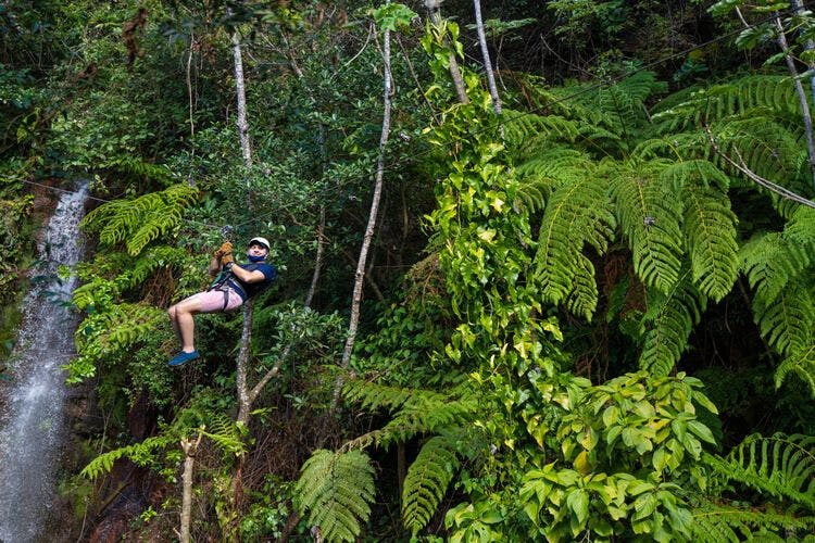 A man zip lining through a Costa Rica jungle