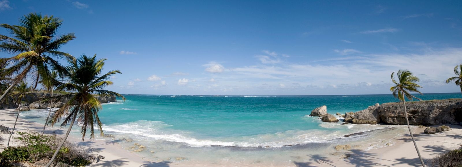 Panoramic view of a white sand beach in Barbados with palm trees, and clear blue sea
