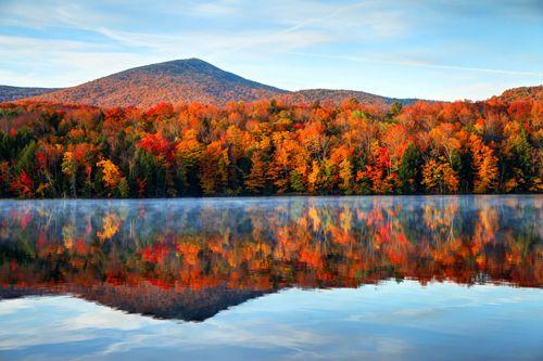 Fall tree and a mountain reflected in a still lake