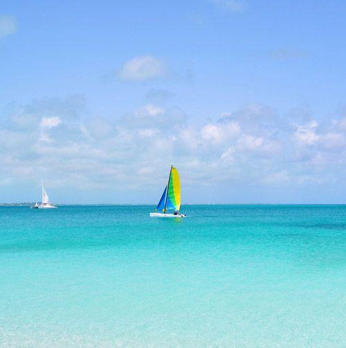 Sailboats in the sea